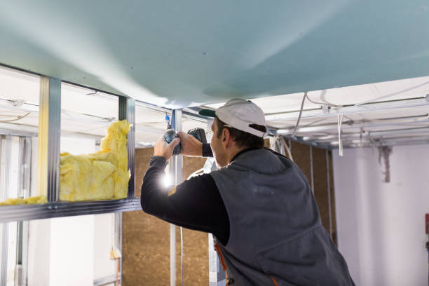 Best Blown-In Insulation  in Chelsea, AL